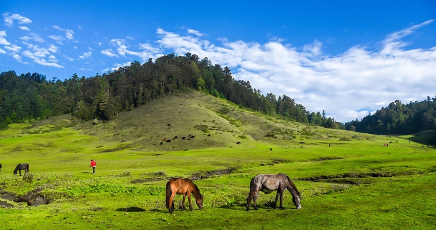 हेलिटुरमार्फत पर्यटकले गरे खप्तड अवलोकन